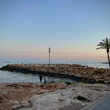 Diana Centro * Torrevieja
